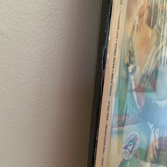 Toronto Blue Jays 1992 Season World Series Championship Toronto Star Wall Plaque - Picture 6 of 16